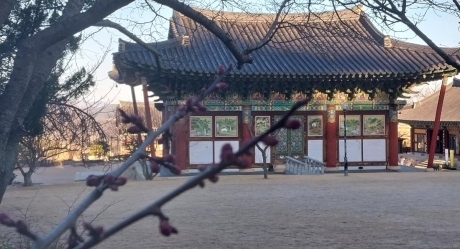 대웅전 뒤_0.jpg 이미지