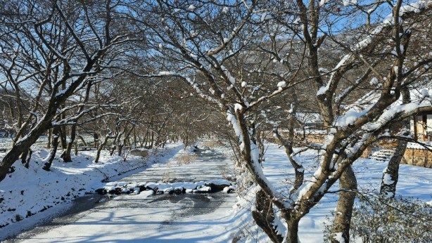 KakaoTalk_20260104_102927013.jpg 이미지