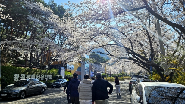 보정20250406_092550.jpg 이미지